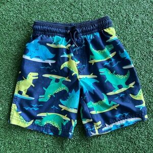 Toddler Swim Trunks 5T, brand: Carters